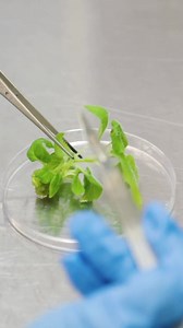 Find out about how studying at Lincoln University can help you can grow your career and make an impact. | Lincoln University