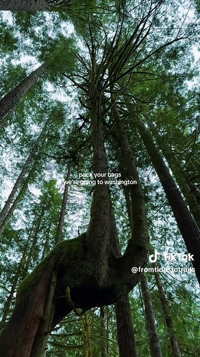 Discover the Beauty of Washington State