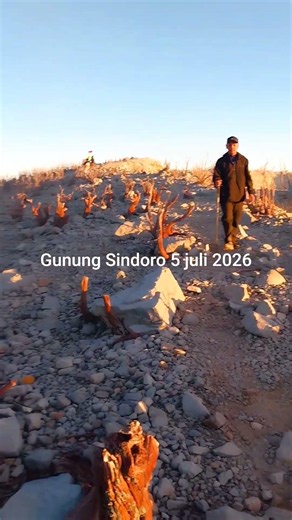 Puncak Gunung Sindoro #pendaki #gunungsindoro #jawatengah #nature #fyp
