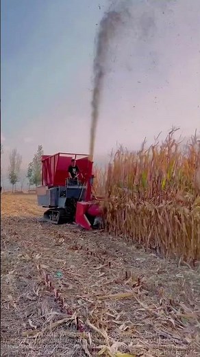 Silage Harvester: Corn Harvesting Partner