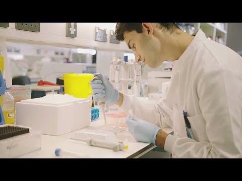 Journey of a cancer biobank blood sample