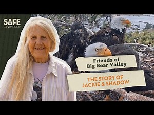 Friends of Big Bear Valley: The Story of Jackie & Shadow with Sandy Steers