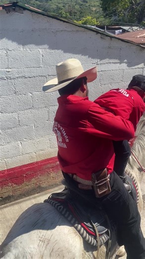 Videos de eveldjnoldito (@eveldjnoldito) con “sonido original - Alientto Musical”