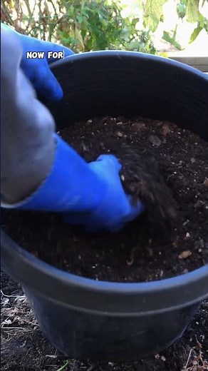 Transform Fall Leaves into Leaf Mold & Compost for Your Raised Garden Beds 🍂🌱