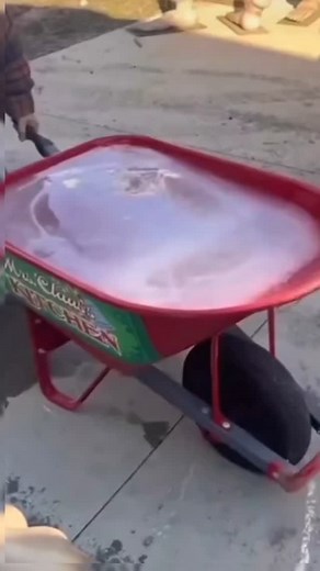 The Full Videos on Instagram: "Imagine if there was a page dedicated to here is the full video... Follow us for more! #viral #trending #viralreels #full #videos"