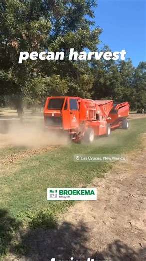 Broekema#trees#orchards#pecans#beltedchain#farming#agriculture#harvester#conveyorbelt#almondharvester#pecanharvester#pecanpie#nuts#tractors# | Broekema