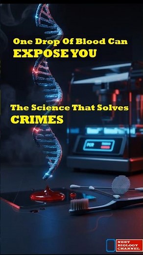 How a Single Drop of Blood Solves Crimes: The Discovery Behind DNA Fingerprinting: PCR Explained