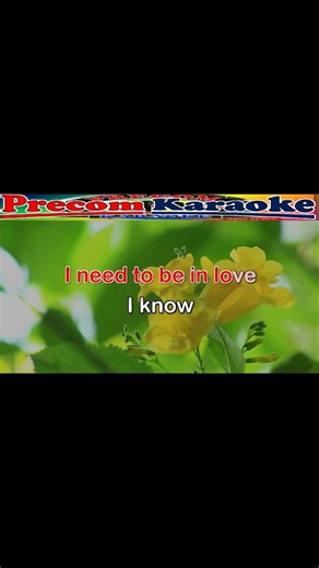 I Need To Be In Love, Oldies but Goodies Karaoke hits, Short video,#lyrics