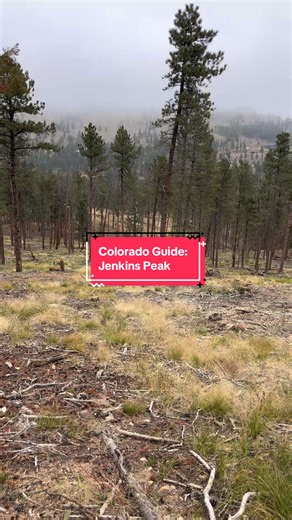 Jenkins Peak Hike: A Beginner-Friendly Trail in Evergreen, CO