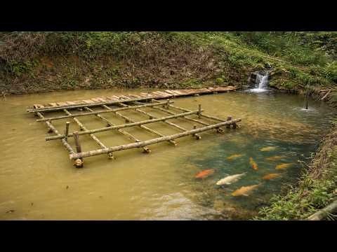 ⭐ I’m Building a Floating Bamboo House on a Secret Pond…