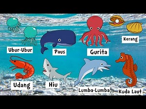 Nama Nama Hewan Laut 💖 Belajar Mengenal Nama Hewan 💖