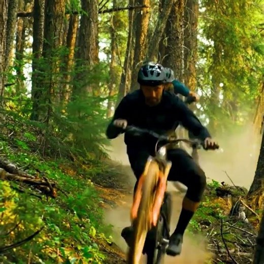 Best Mountain Bikes for Trail, XC & All-Mountain Rides | Sun & Ski Sports