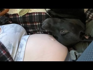 ASMR - Early Morning Stomach Sounds ~ Ice Eating ~ Playing Switch