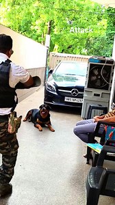 409K views · 2.6K reactions | Rottweiler Attack Training #agression #agressive #Dangerous #Danger #rottw #rottweiler #dog #doglover #dogtraining #dogtrainer #dogtrainingtips #dogtreats #dogtraininglife #dogtrainingadvice #dogtrainerlife #doggo #dogtok #puppy #training | K9 Yadav Dog Training Centre Agra | Facebook