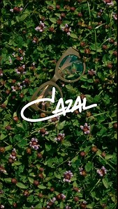 Clean Lines. Rich details. Discover the quiet power of the new MOD5018. The MOD5018 brings the perfect balance between classic elements and new,modern design. From its elegant shape to the distinctive temples, Bast on the classic MOD5000, the 5018 is a style essential, that elevates your every-day-life. #cazal #cazalofficial #futureborn #foreverbold #beiconicbecazal #cazalcollection #cazaleyewear #legendaryeyewear #iconiceyewear #cazal050 | CAZAL Eyewear - (Official)