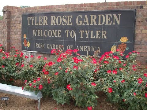 Tyler Texas Rose Garden