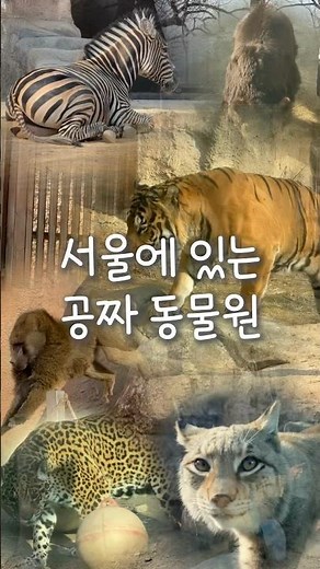 365일 무료 입장 가능한 서울 동물원