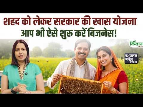 Beekeeping Business will increase farmers' income | Honey production and government subsidies. Ho...