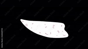 Cartoon Abstract Animations is a mystic motion graphics pack that includes a collection of colorful hand-drawn elements. 4K resolution and alpha channel