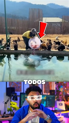 She built a cat house 🐈