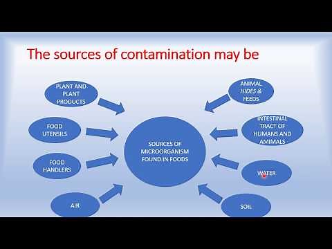 SOURCES OF CONTAMINATION IN FOOD