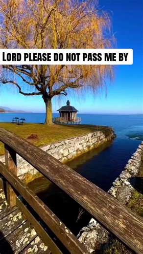 Saviour blessed Saviour hear my humble cry