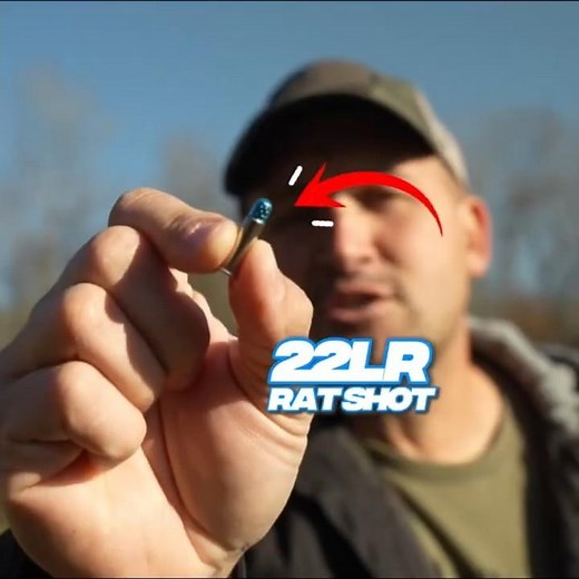 Kentucky Ballistics: How Lethal Is 22lr Rat Shot?