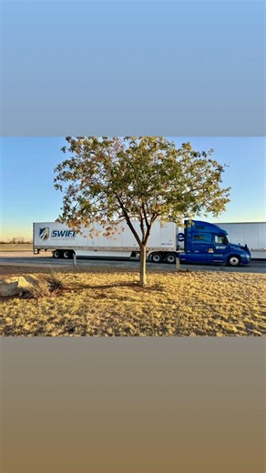 3.9K views · 242 reactions | Good Wednesday morning to you! Your...