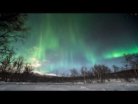 Santa Maria, Amar(Remix) | Lo-fi Techno / Medieval Hip-hop | 4K Aurora