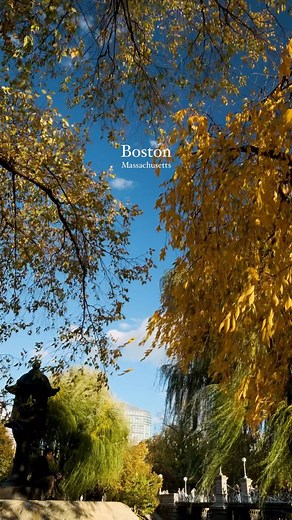 Boston’s Autumn Colors 🍁 Autumn colors in the Boston Common and Public Garden are a dream come true for any videographer. With the Fujifilm XH2s in F-Log2, each leaf and reflection bursts with vibrant, true-to-life hues, capturing the essence of fall. The rich reds, golden yellows, and deep oranges in Boston’s trees transform the city’s historic parks into a painter’s palette, filling every frame with a unique beauty. Shooting in F-Log2 this time of year really brings out that vibrancy and dept