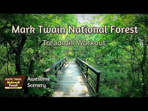 Explore the Beauty of Mark Twain National Forest | Belleview, Missouri | Virtual Hiking Video in 4K