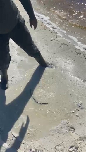 508K views · 823 reactions | Noordhoek Beach Visitors are urged to...