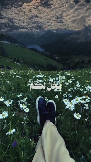 قران كريم /سورت يوسف /بصوت القارى محمد صديق المنشاوي /اقتلو يوسف او إطرحو إرضا/#قرآن_الصباح قراما❤️