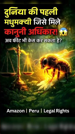 पेरू ने मधुमक्खियों को दिए कानूनी अधिकार | World First Insect Rights Explained | Bee protection rule