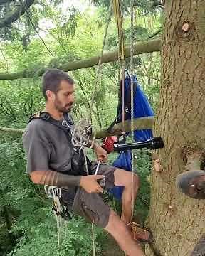 Professional Treehouse Build — GTS Allstar Screw Installation in High Tree