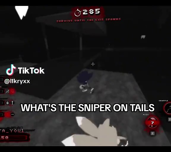 Best Recommendations for Tails in Roblox