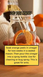 DID YOU KNOW | Easy Recipes