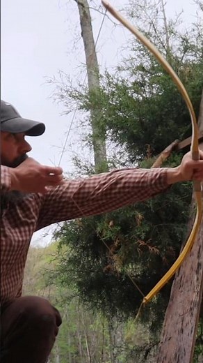 Making Primitive Bow Osage Comanche Bow #primitivetechnology #comanche #archery