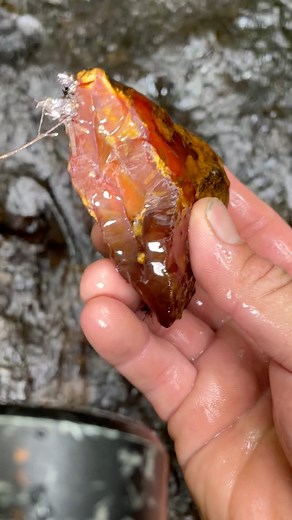 Check out this incredible piece of red carnelian we found in one of our creek spots. Gorgeous color!! 🤩 Wow! So exciting to find this. Found in Cowlitz County, WA. ✌️ #carnelian #rockhound #rockhounding #washington #pnwrocks #agates #rockhunting #gemstones | Chris Sims