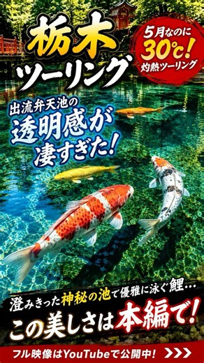 この後、とんでもない絶景ツーリングが始まります。