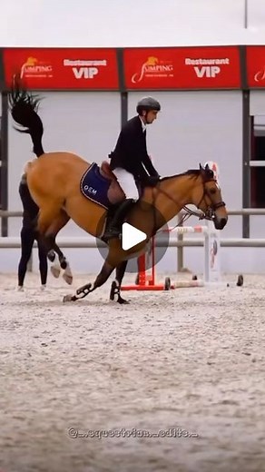 Horses my life❤️ on Instagram: "True riders know this feeling 殺 #horse #horses #horseriding #horsesoftiktokforyoupage #horsesoftiktok #horsepower #horselover #horselove #horselife #horseshow #equestrian #equestrianlife #pferd #pferde #competition #springturnier #springen #jump #jumping #turnier #loyal #loyalty #pferdebindung #bindung #sweet #sweetheart #fy #fp #fyp* #viralvideo"