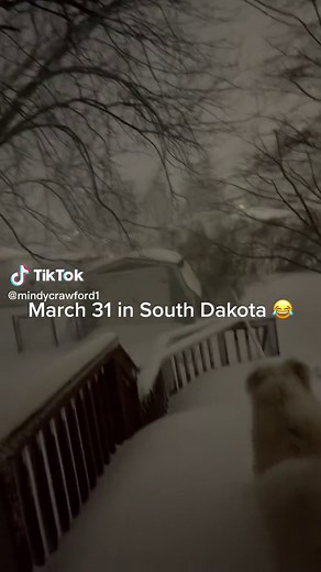 Mindy (@mindycrawford1)’s videos with original sound - Mindy