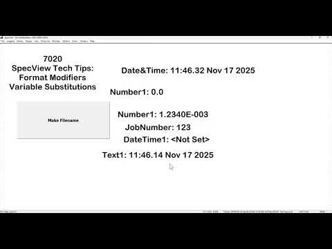 7020 - Variable Substitution & Format Modifiers