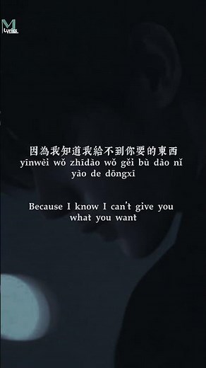 Wo Shi Zhen De Ai Shang Ni (我是真的愛上你) Lyrics #歌词 #歌曲歌词 #lyrics