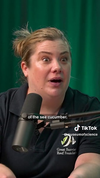 Why does the pearl fish live in a sea cucumber’s butt? 🐟 Marine scientist Jane Adcroft from the Great Barrier Reef Foundation explains that the pearlfish hides inside the sea cucumber’s butt. It’s an unusual survival strategy that gives the fish a hidden, predator-free home! #Ocean #GreatBarrierReef #LearnWithMe #ScienceExplained #CoolFacts