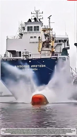 Operational Testing of Free-Fall Lifeboat Systems #job #skills #unique #interesting