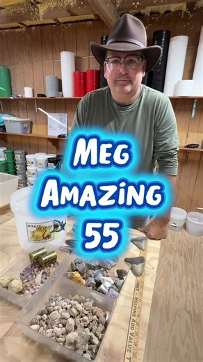 Discover Meg Amazing 55: Fossils & Buried Treasures