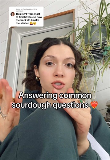 Sourdough Starter Tips for Beginners and New Bakers