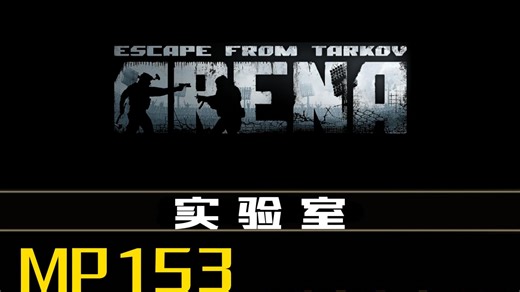 逃离塔科夫MP153到底有多强