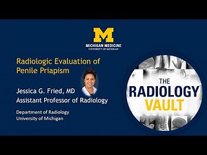 US of Penile Priapism